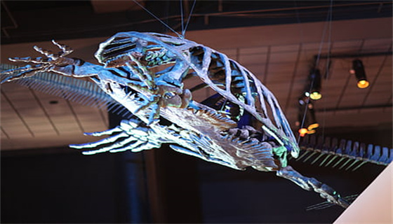 風(fēng)力發(fā)電場(chǎng)安全規(guī)程的執(zhí)行難點(diǎn)？