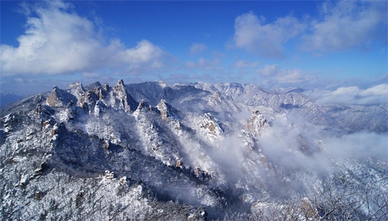 風(fēng)力發(fā)電場(chǎng)安全規(guī)程的管理現(xiàn)狀？