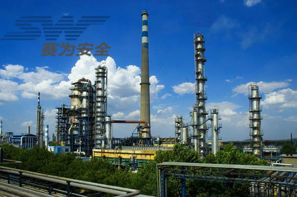 論大型乙烯項目建設HSE管理