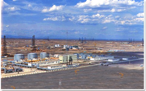 吐哈員工HSE履職評(píng)估全覆蓋