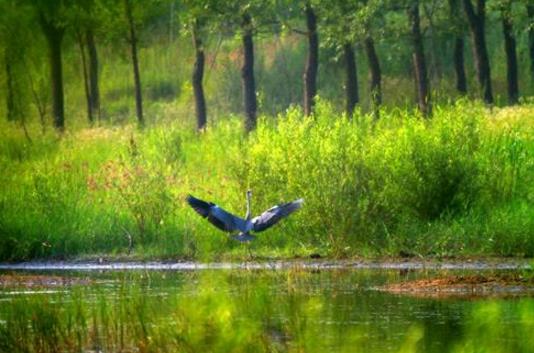 環(huán)境影響評價在HSE管理體系中的應(yīng)用