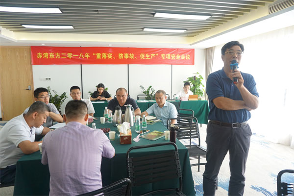 赤灣東方董事長秦總做總結性發(fā)言